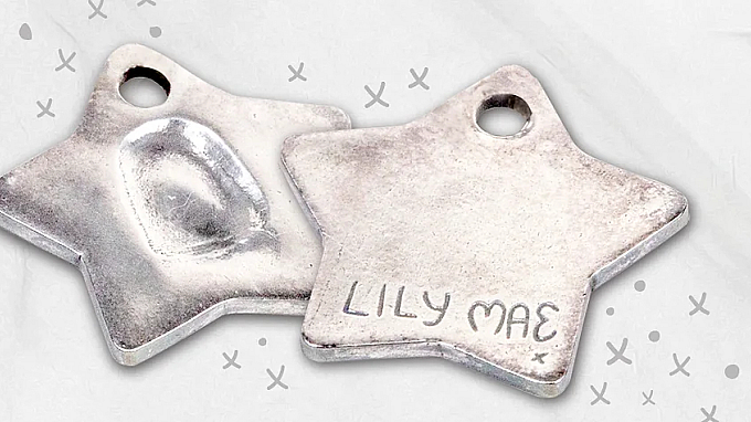 Image of Lily Mae charity logo